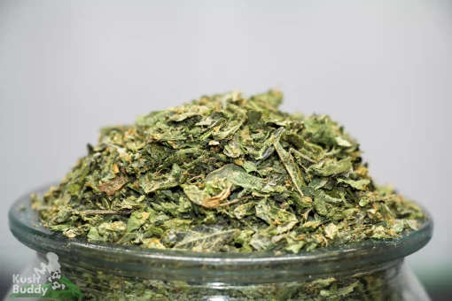 Close-up of a heap of chopped cannabis buds piled on a glass container, with a Kush Buddy watermark in the corner.