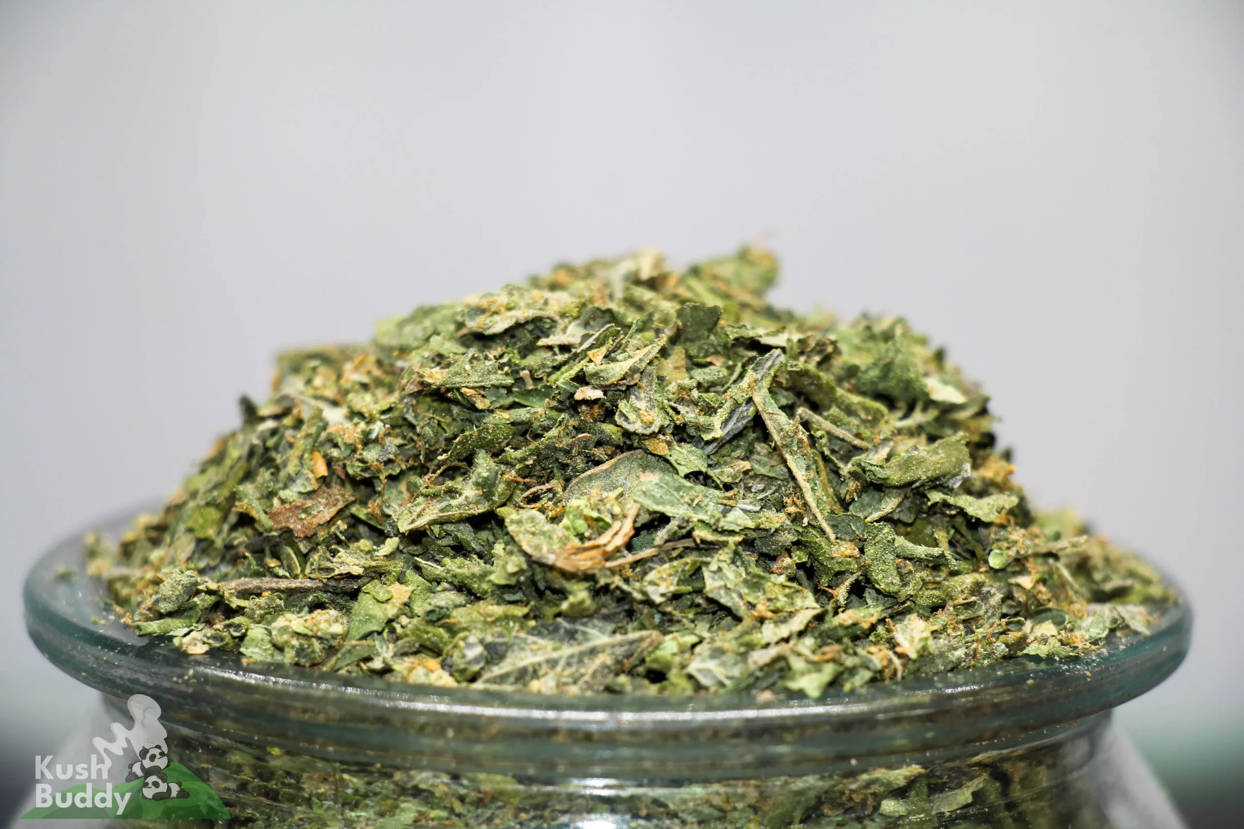Close-up of a heap of chopped cannabis buds piled on a glass container, with a Kush Buddy watermark in the corner.