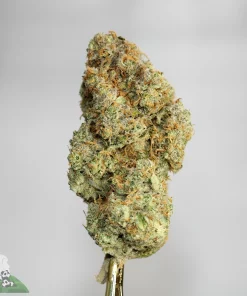 Black Series - Blueberry Runtz - Image 2