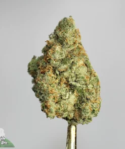 Black Series - Blueberry Runtz - Image 3
