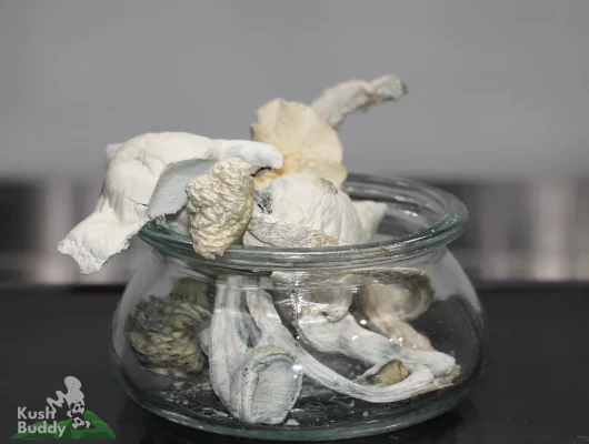 GhostCap - Bulk - Magic Mushrooms - Albino Penis Envy #6 (APE6)
