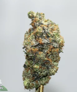 Close-up of a frosty cannabis bud with orange hairs and green leaves, covered in trichomes.