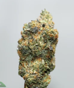 Close-up of a cannabis bud with frosty trichomes, green and orange hairs, against a light gray background. Logo partially visible in the bottom-left corner.