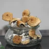 GhostCap - Magic Mushrooms - B+