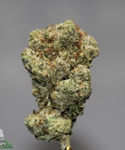 Black Series - Donkey Butter - Image 2