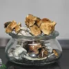 GhostCap - Bulk - Magic Mushrooms - Golden Mammoth