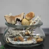GhostCap - Bulk - Magic Mushrooms - Jesus Christ Super Strain