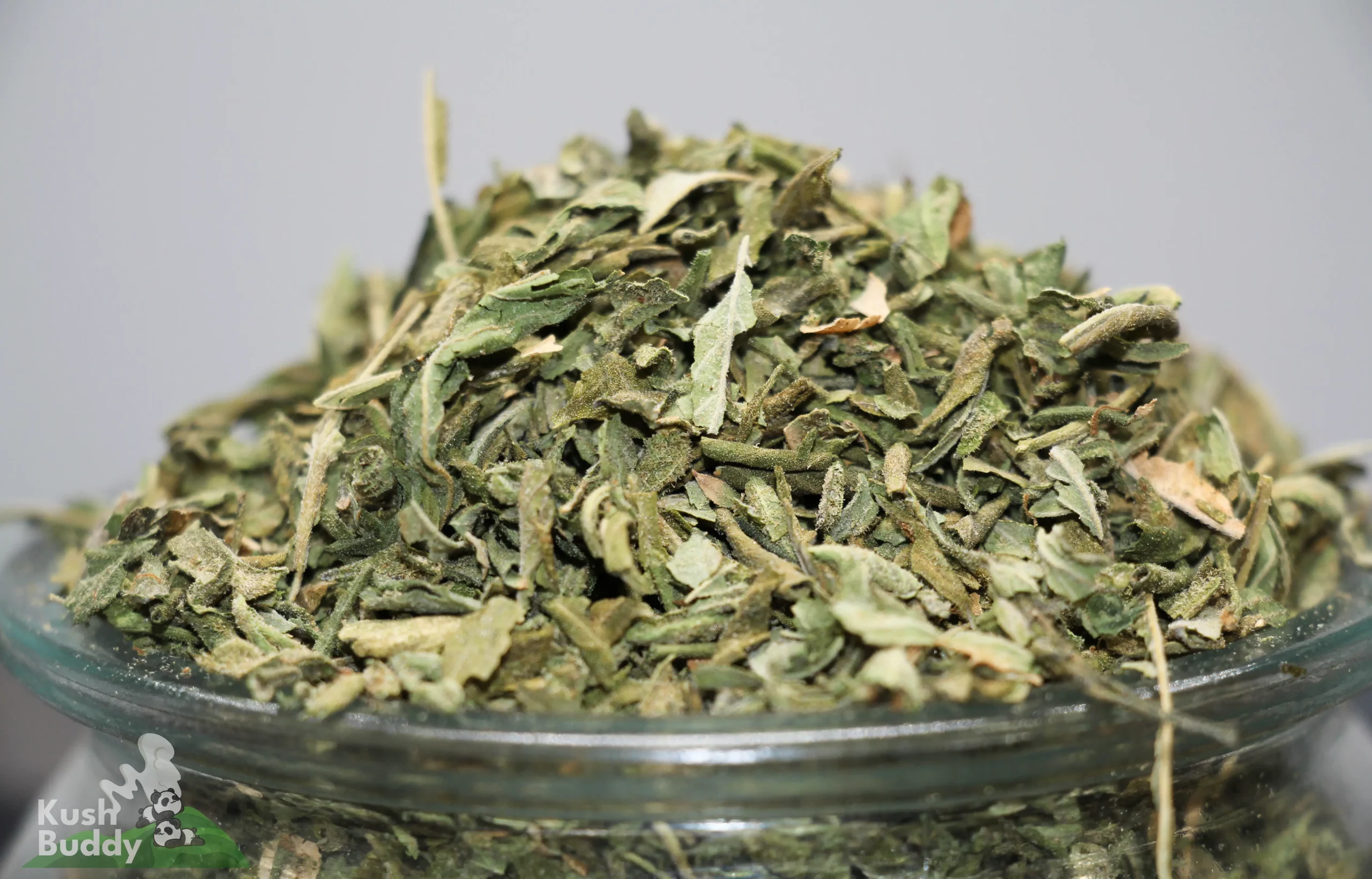 Gorilla Bomb (AAA) - Special Reserve Shake