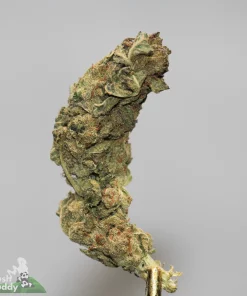 (AAA+) Trudeau's Cookie Kush