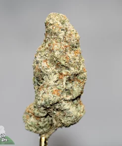 Black Series - Baby Yoda