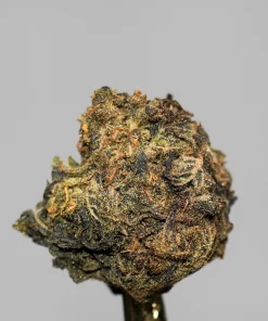 (AAA-) Unicorn Poop