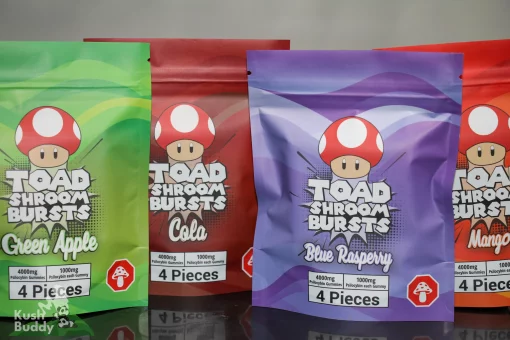 TOAD Shroom Bursts - Magic Mushroom Gummies (4g Psilocybin)