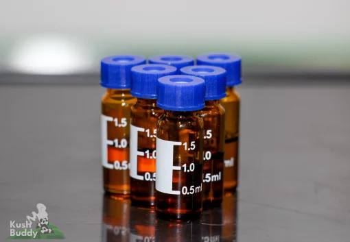 Elevated Wellness - THC Honey Oil - Vials