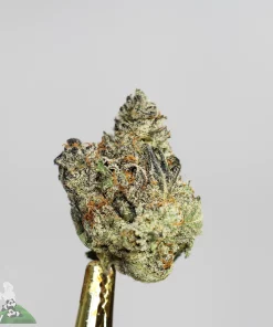 Black Series - Bulk - Dave's Southern Burger #1 - Image 2