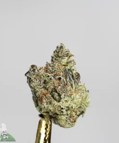 Black Series - Bulk - Dave's Southern Burger #1 - Image 4