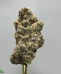 Close-up of a frosty cannabis bud on a stem with orange hairs; watermark 'Kush Buddy' bottom-left.