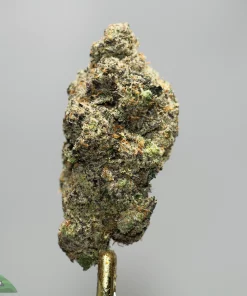 Close-up of a frosty cannabis bud with orange pistils, showing crystalline trichomes against a gray background; logo 'Kush Buddy' in the bottom-left corner.