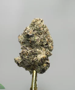 Close-up of a frosty cannabis bud on a gold skewer against a gray background, with a Kush Buddy watermark in the bottom-left corner.