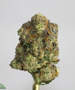 Black Series - Blue Lobster x Pink Diablo - LSO - Image 2