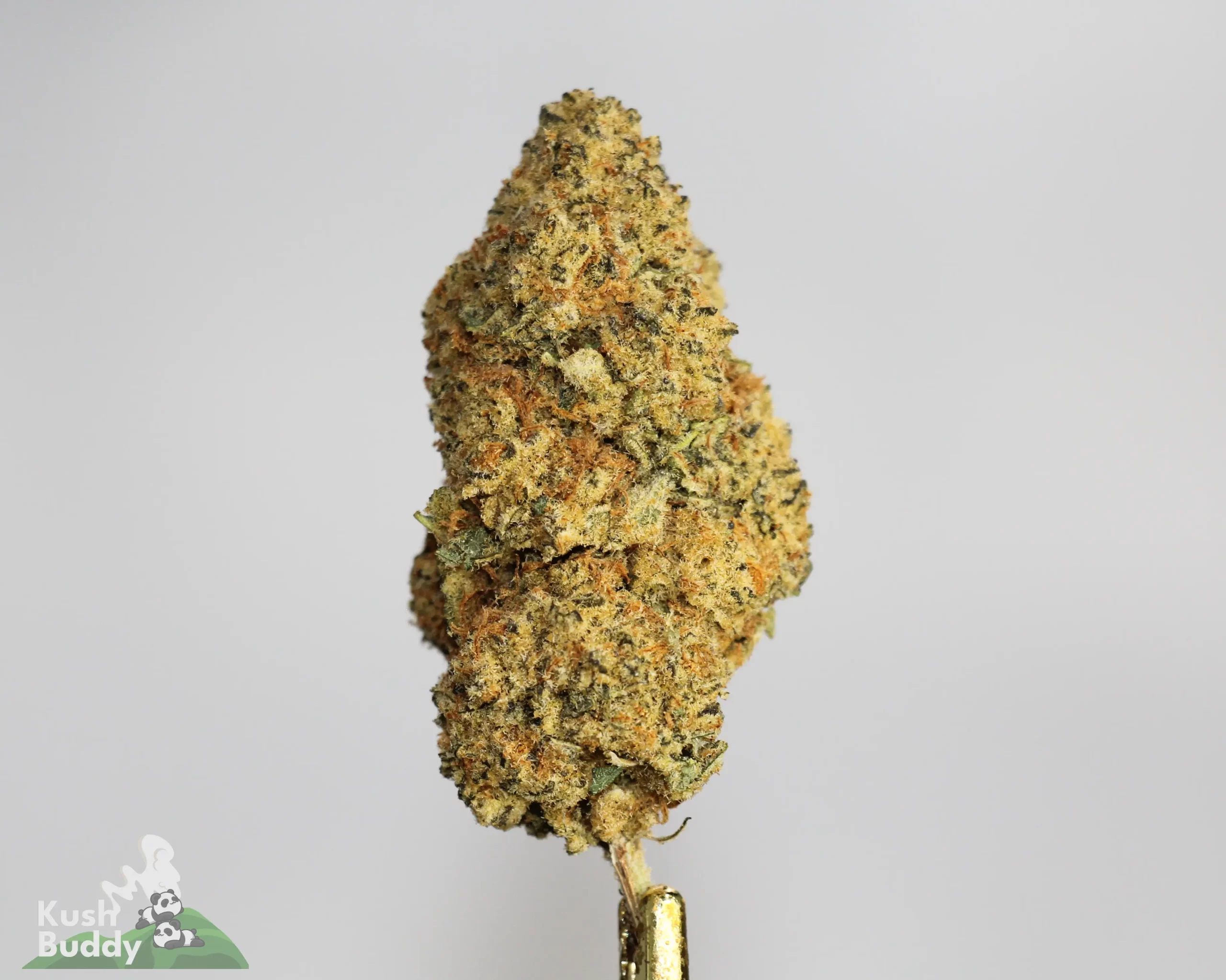 (AAA-) Grape Gas