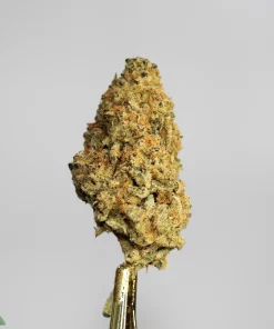 (AAA-) Grape Gas - Image 2