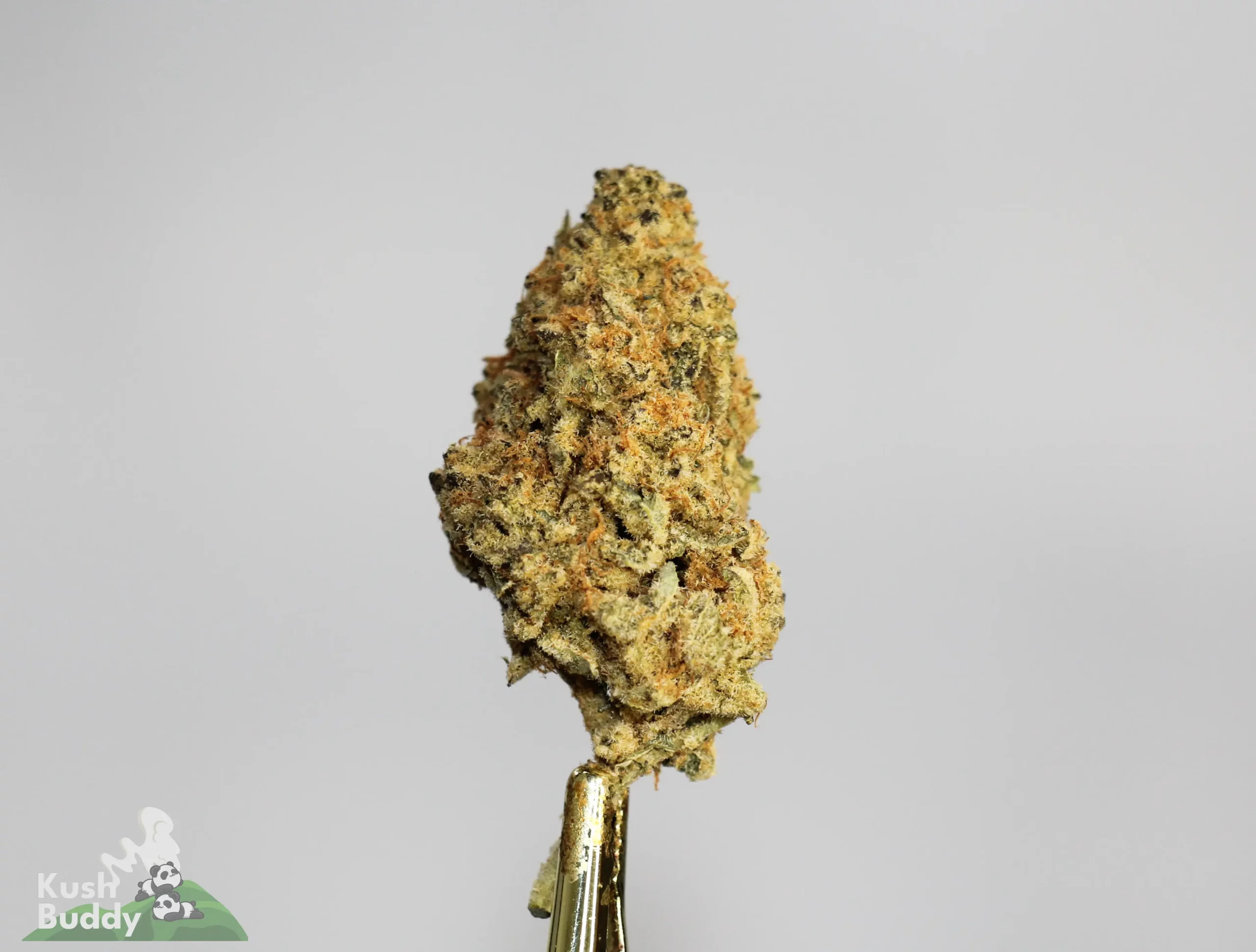 (AAA-) Grape Gas - Image 2