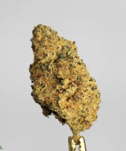 (AAA-) Grape Gas - Image 3