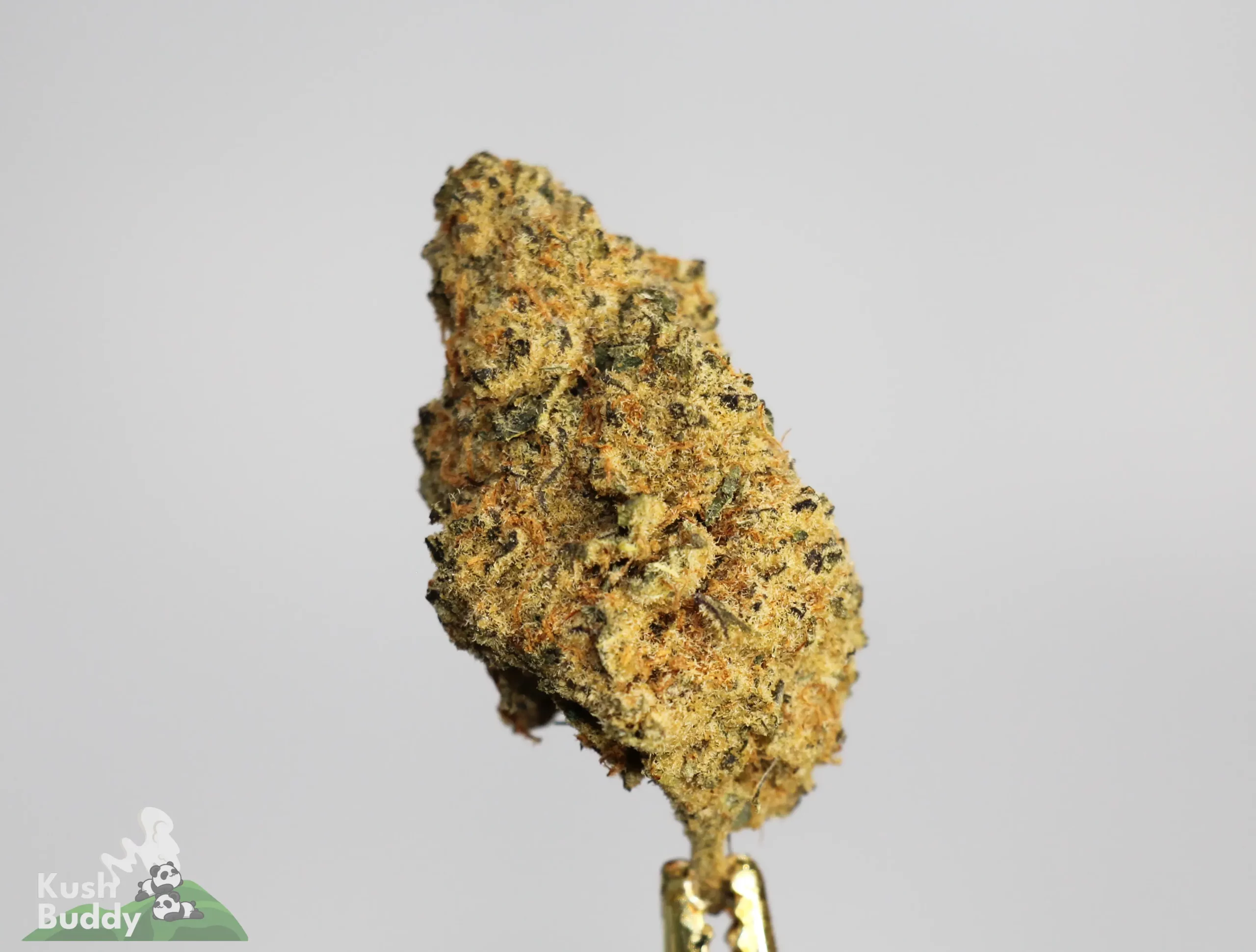 (AAA-) Grape Gas - Image 3