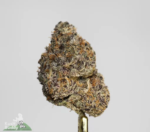 Black Series - Bulk - Maui Wowie