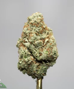 Close-up of a frosty cannabis bud with orange pistils against a gray background; watermark 'Kush Buddy' bottom-left.