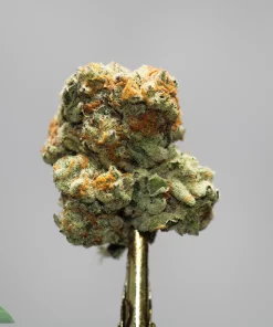 Close-up of a frosty cannabis bud with orange hairs, mounted on a gold stem against a gray background. Kush Buddy logo visible in the lower-left corner.