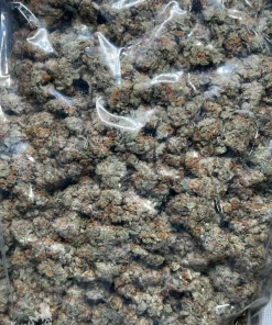 Bag of dense cannabis buds with orange pistils and frosty trichomes in a clear plastic bag (Kush Buddy watermark).