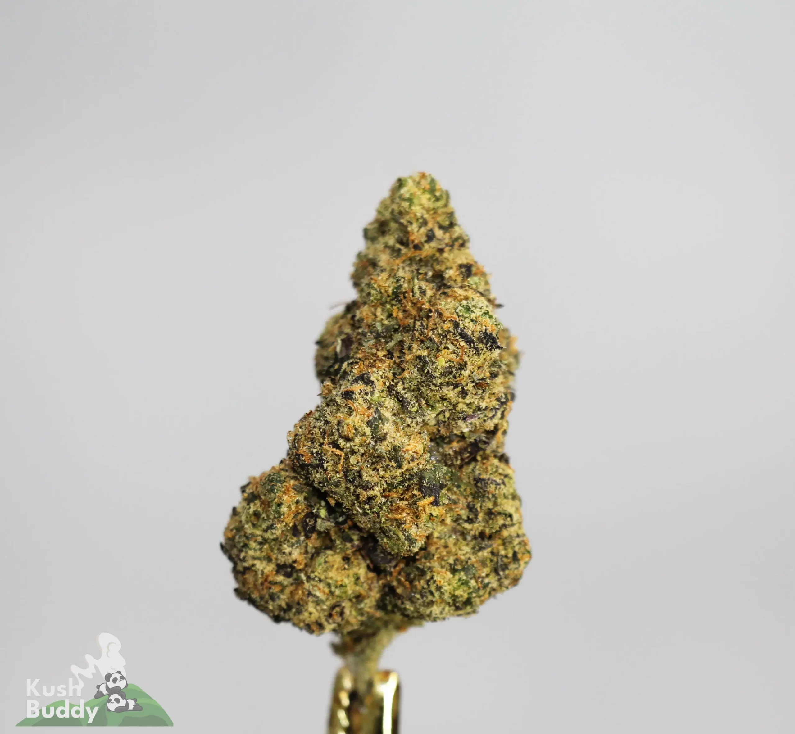 (AAAA) Garlic Cookies
