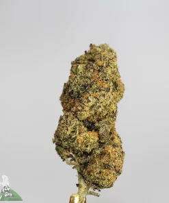 (AAAA) Garlic Cookies - Image 2
