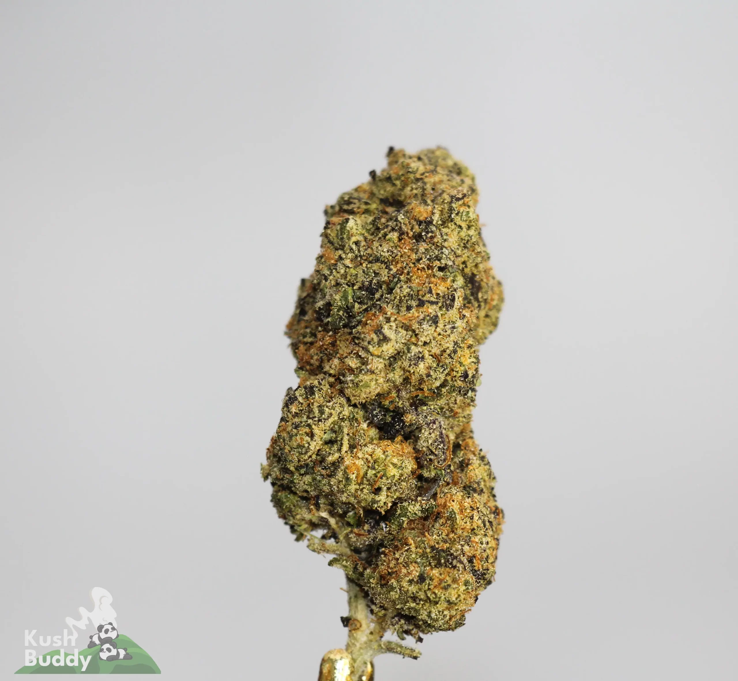 (AAAA) Garlic Cookies - Image 2