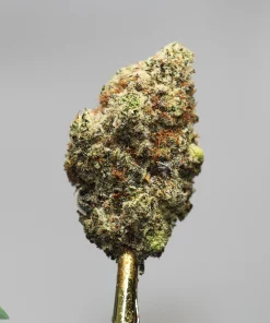 Close-up of a frosty cannabis bud on a gold smoking pipe, with a Kush Buddy watermark in the corner.