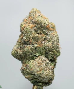 Close-up of a frosty cannabis bud with orange hairs and dense trichomes against a light background (Kush Buddy logo visible).