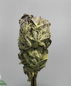 Close-up of a frosty cannabis bud with dense trichomes and purple-green coloring; Kush Buddy logo bottom left.