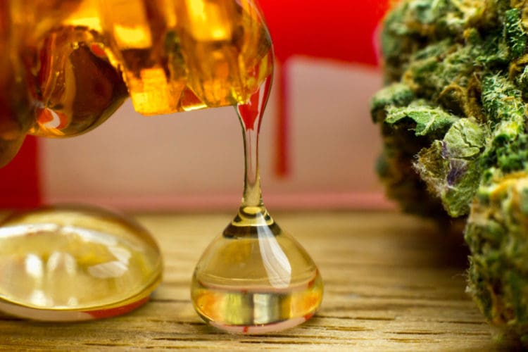 Honey Oil vs Distillate