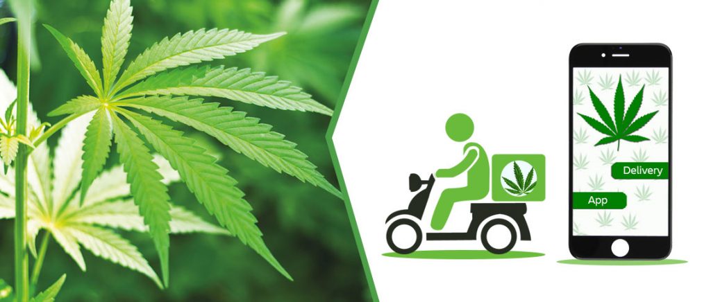 Same Day Weed Delivery in Peel Region