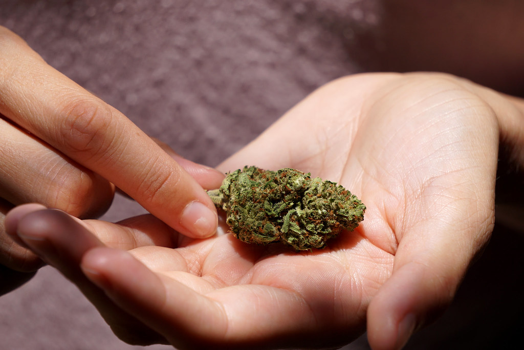 Same Day Weed Delivery in Toronto