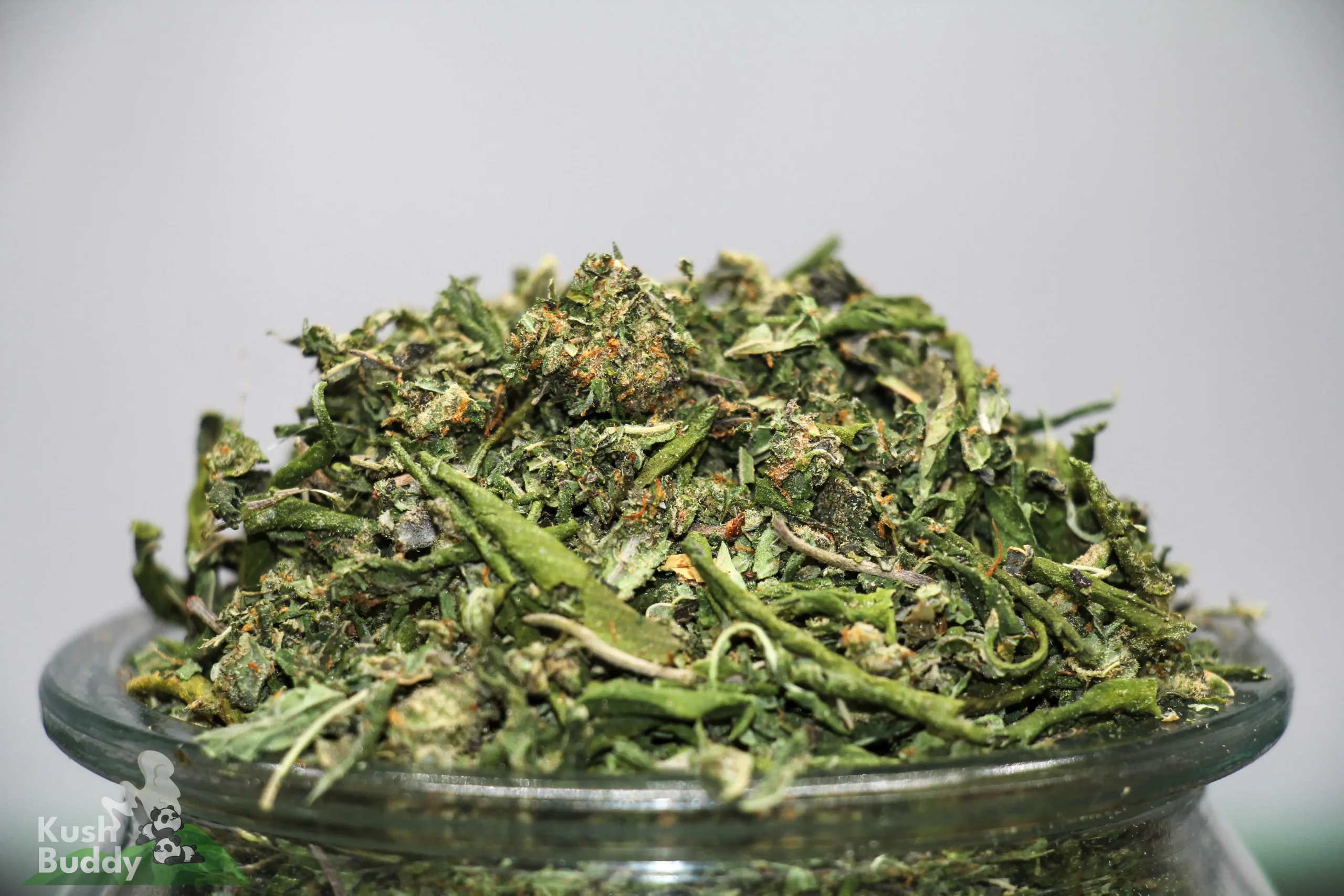 Close-up of dried cannabis buds piled on a glass jar, showing green leaves and orange hairs.