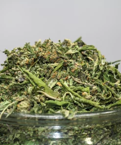 Chopped cannabis buds and leaves piled in a glass jar, with orange hairs and frosty trichomes visible against a gray background (Kush Buddy watermark in corner).