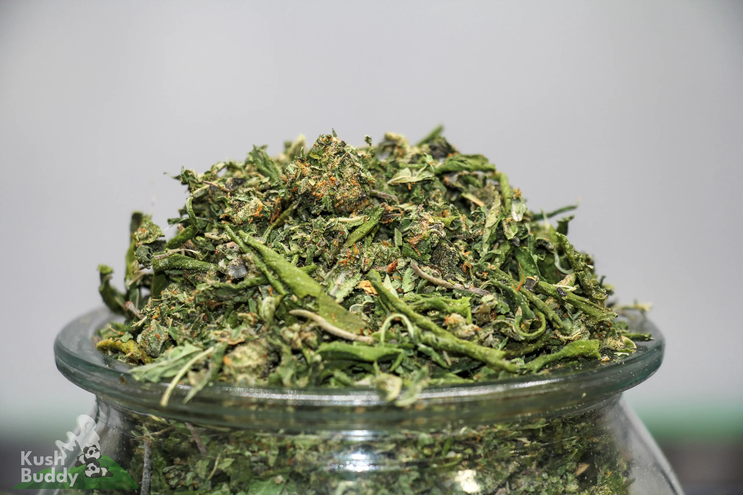 Chopped cannabis buds and leaves piled in a glass jar, with orange hairs and frosty trichomes visible against a gray background (Kush Buddy watermark in corner).
