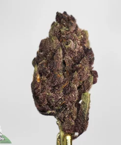 Granddaddy Purple indica strain with grape aroma