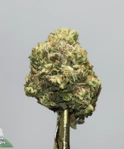 Close-up of a frosty green cannabis bud with orange pistils on a stem, showing crystalline trichomes.