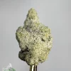 Star Dust - Bad Decisions - Snowball Moonrocks (40% THC)