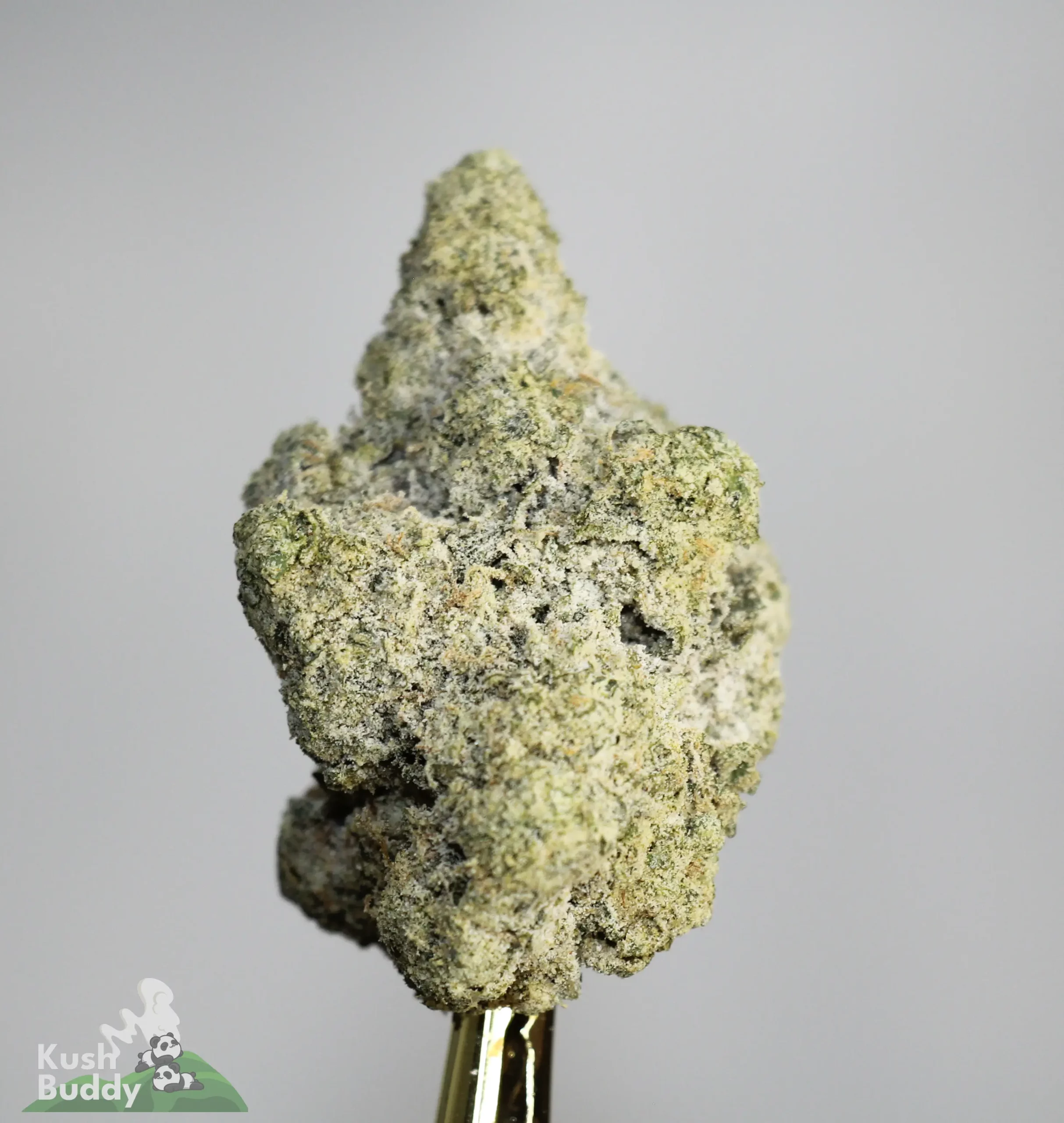 Snowball Moonrocks – Bad Decisions – Buy Weed Online, image size:2427x2560