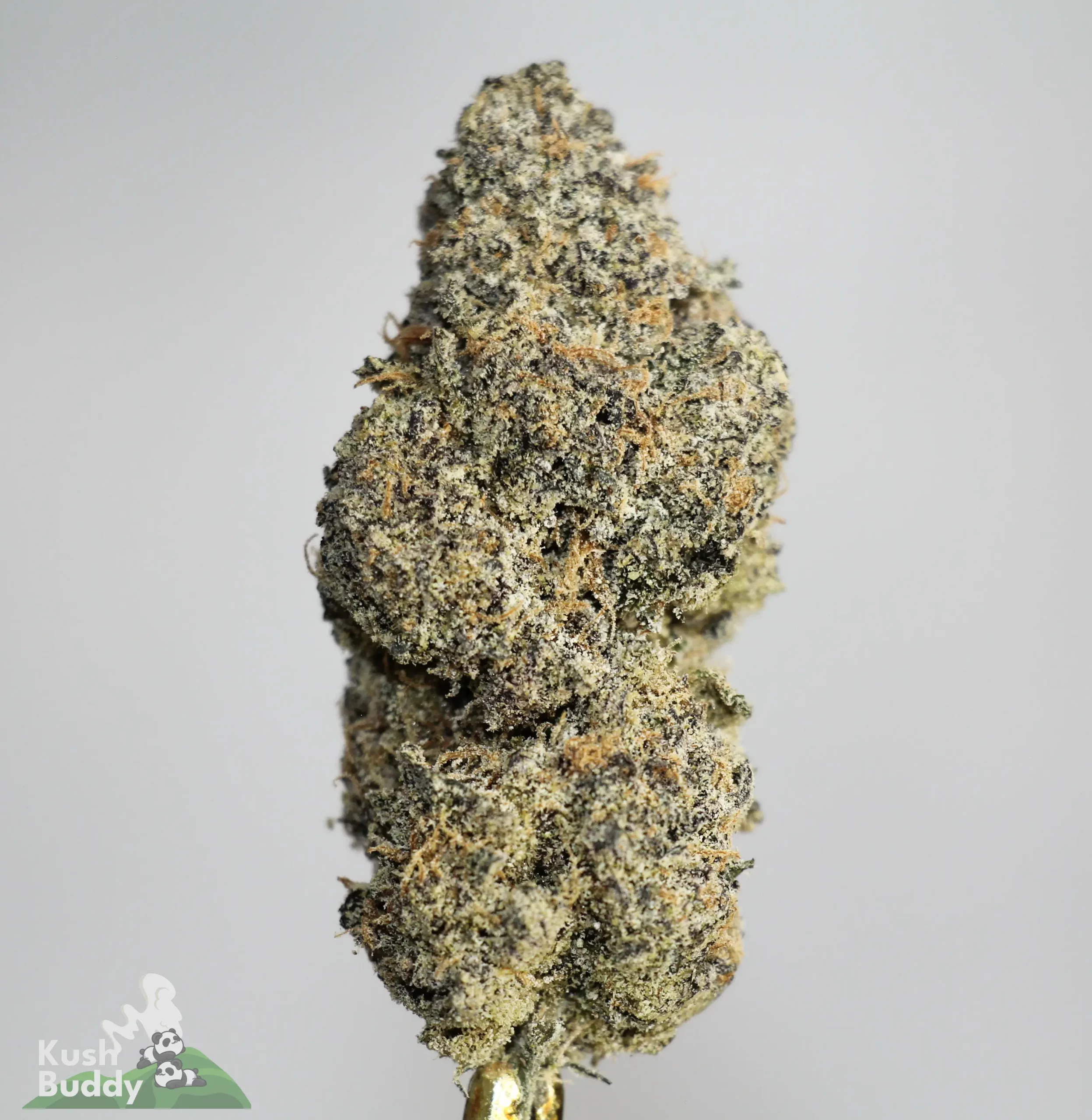 Star Dust - Black Patronus - Snowball Moonrocks (40% THC)