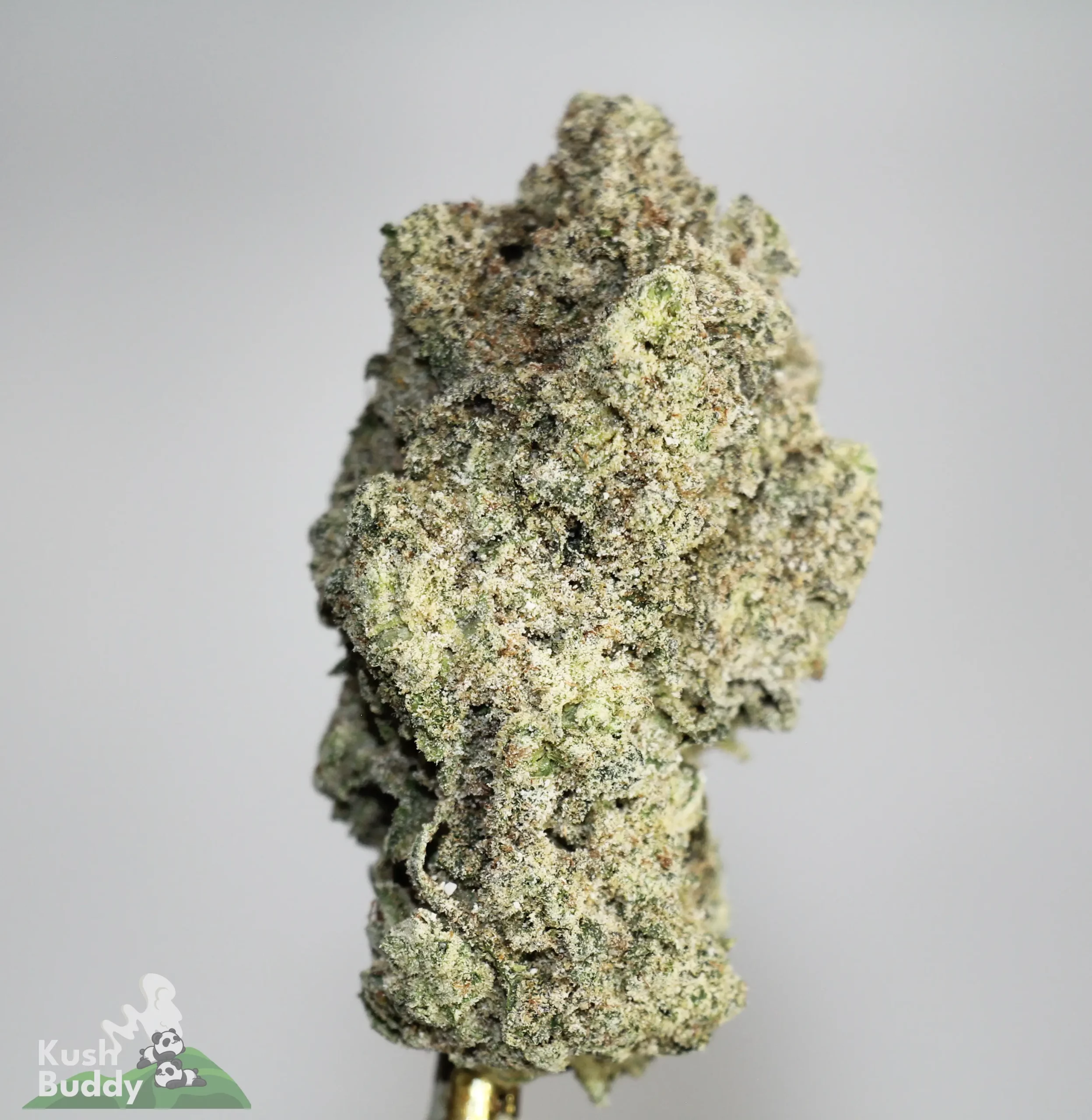 Star Dust - Don Mega Jam - Snowball Moonrocks (40% THC)